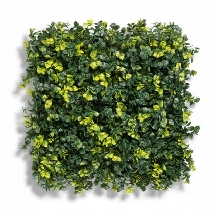 Follaje Menta