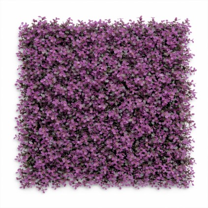 Follaje Arrayan Morado