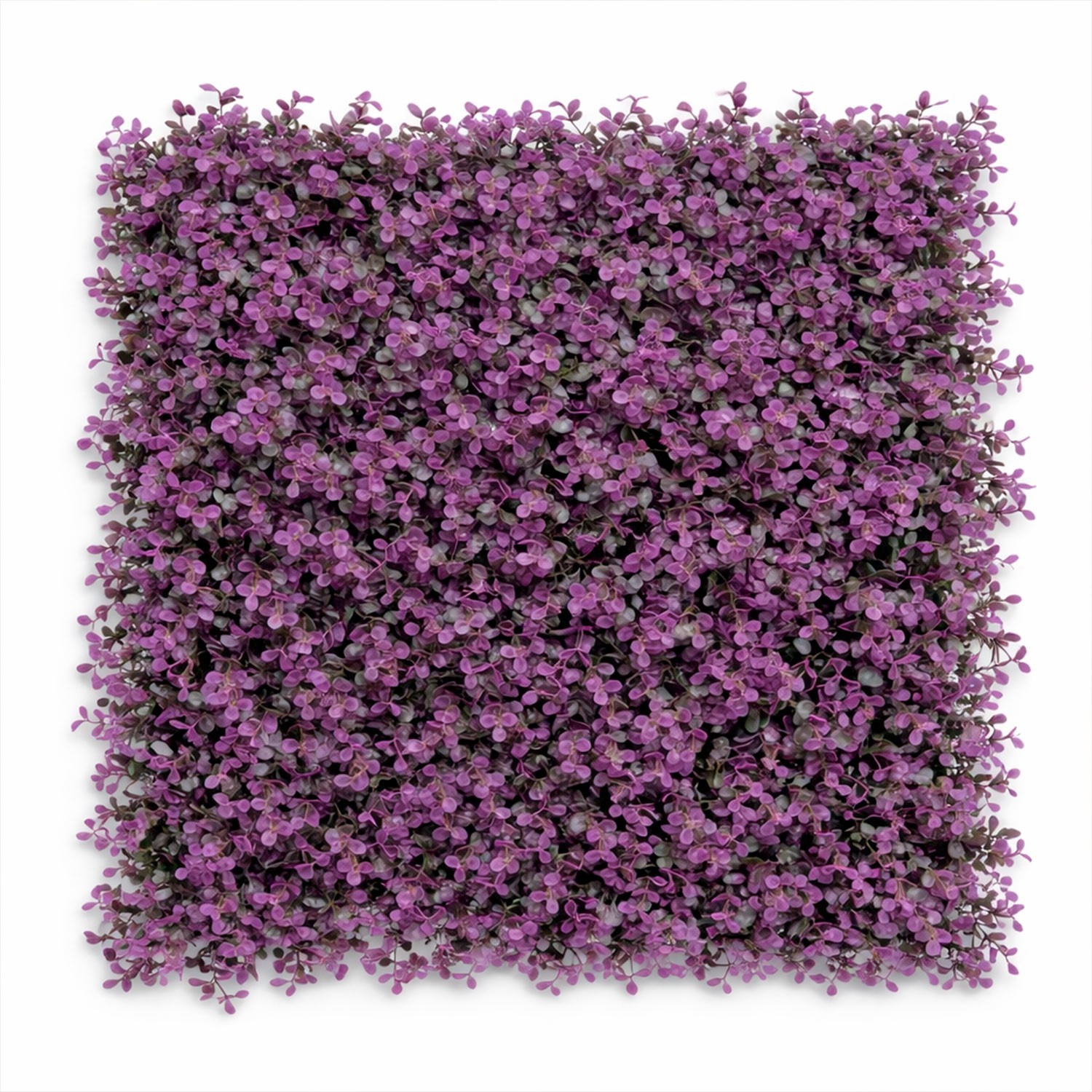 Follaje Arrayan Morado