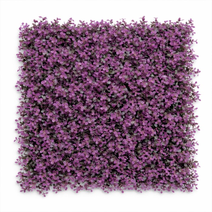 Follaje Arrayan Morado