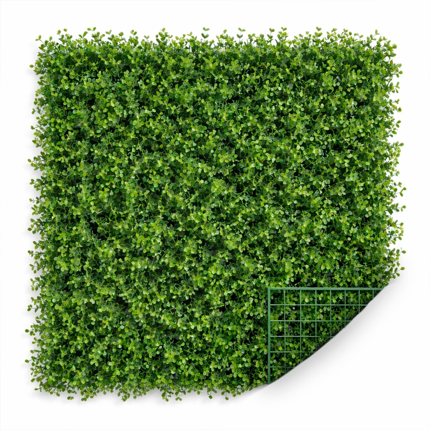 Follaje Arrayan Verde