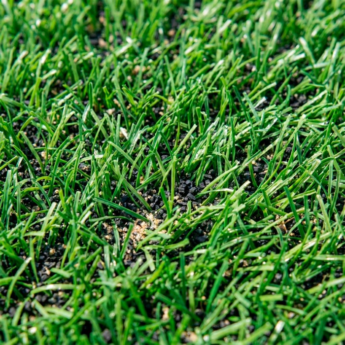 Pasto Sintético Deportivo Verde
