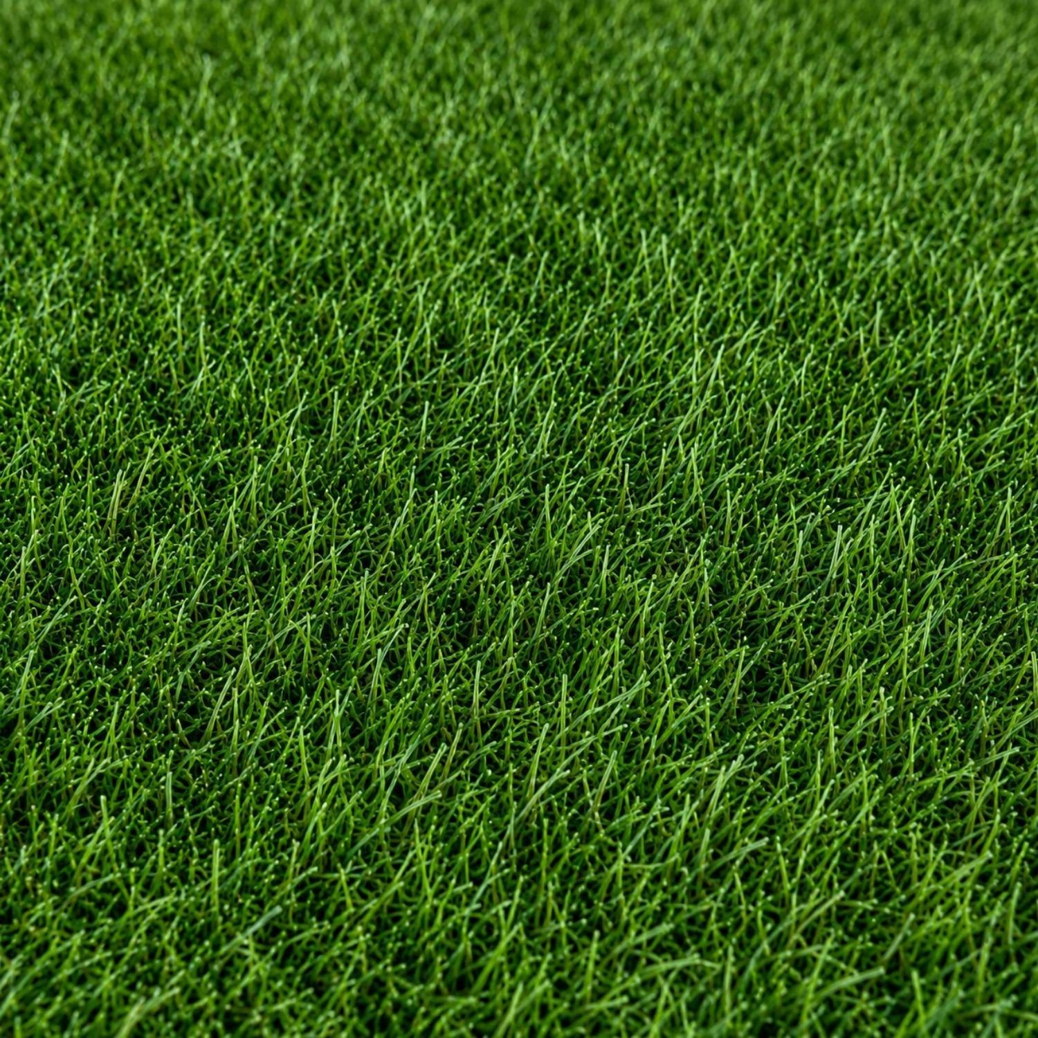 Pasto Sintético Recreativo Gulhi | Pasto Sintético