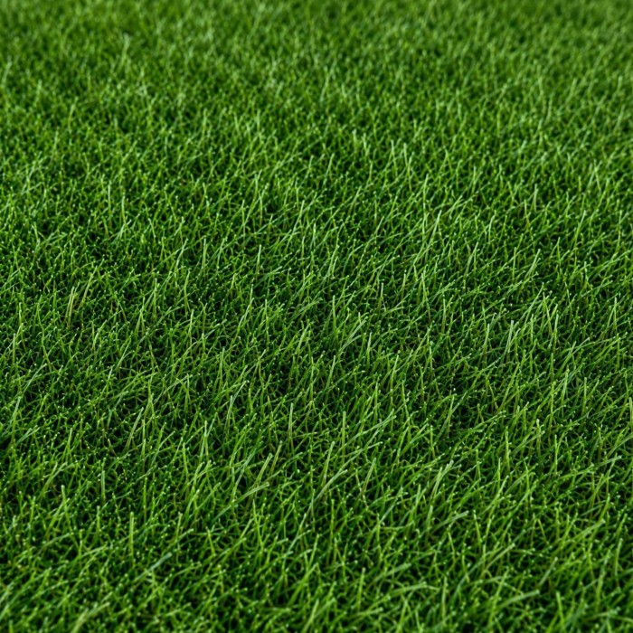 Pasto Sintético Recreativo Gulhi | Pasto Sintético