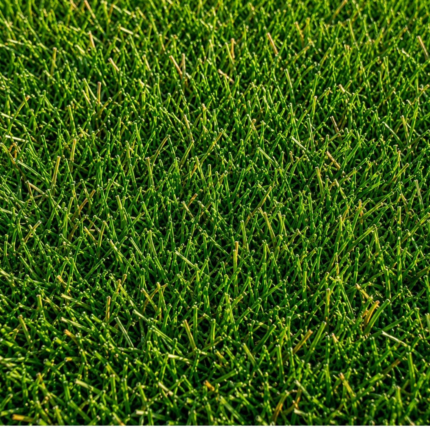 Pasto Sintético Recreativo Tulum | Pasto Sintético