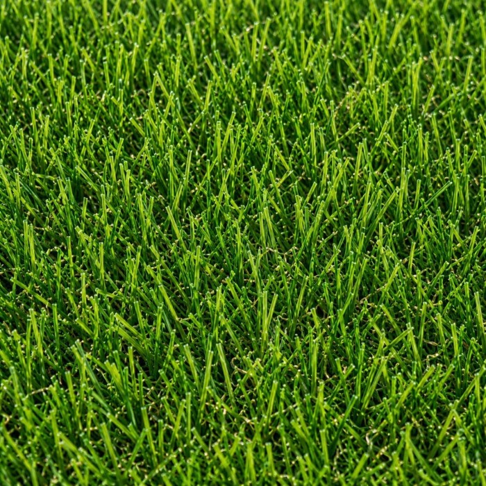 Pasto Sintético Recreativo Maui | Pasto Sintético Recreativo