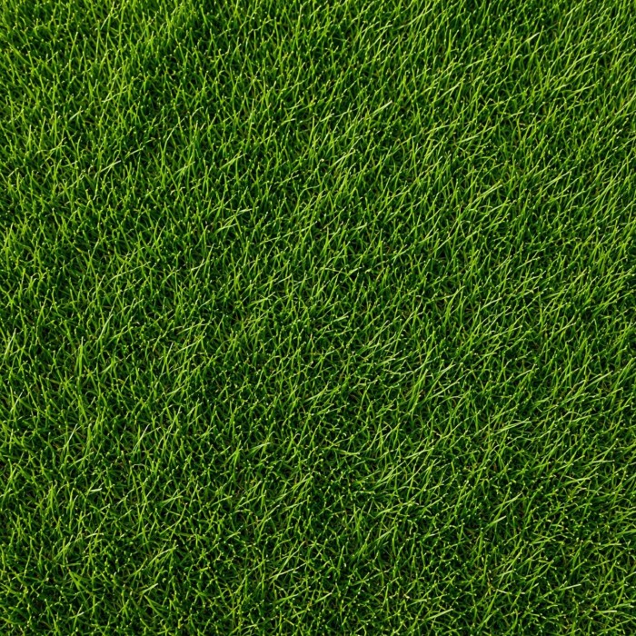Pasto Recreativo Recreativo Bermuda | Pasto Sintético
