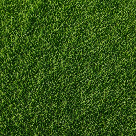 Pasto Recreativo Recreativo Bermuda | Pasto Sintético