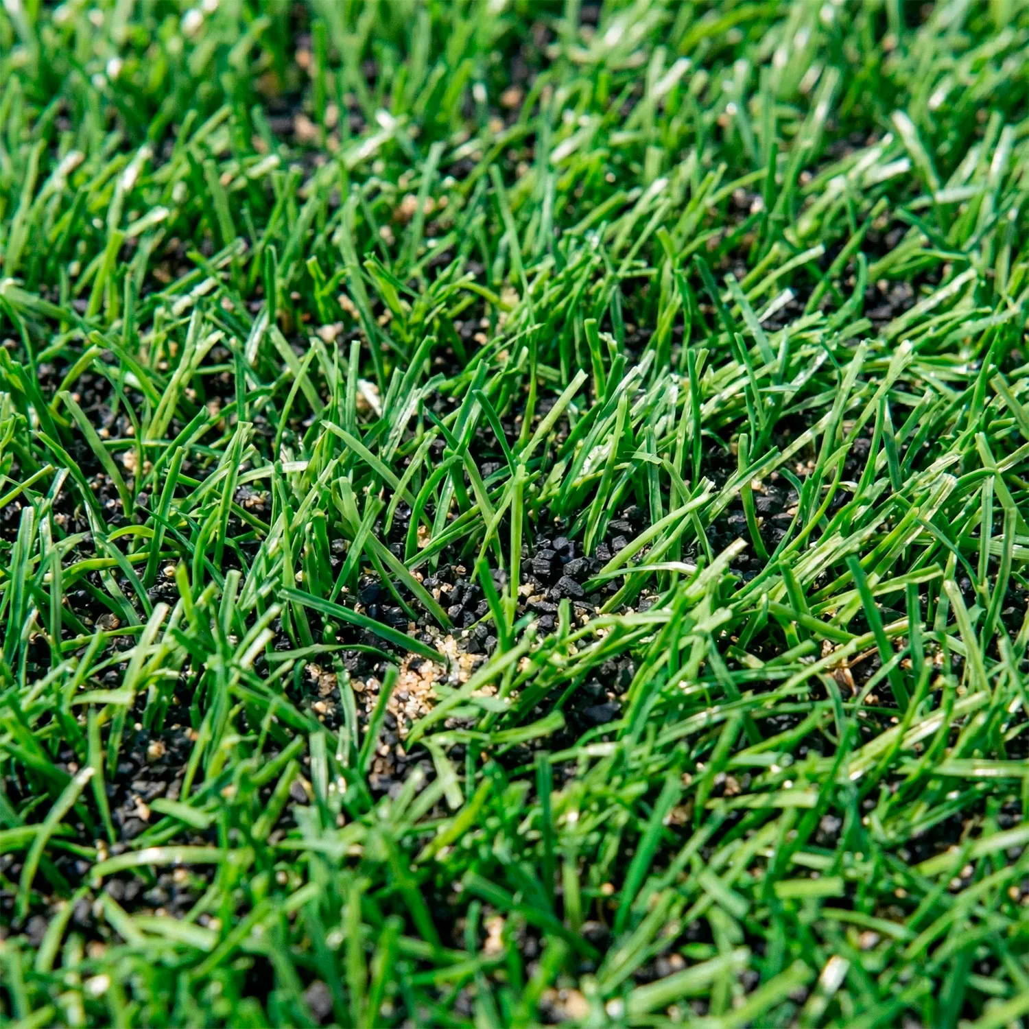 Pasto Sintético Recreativo