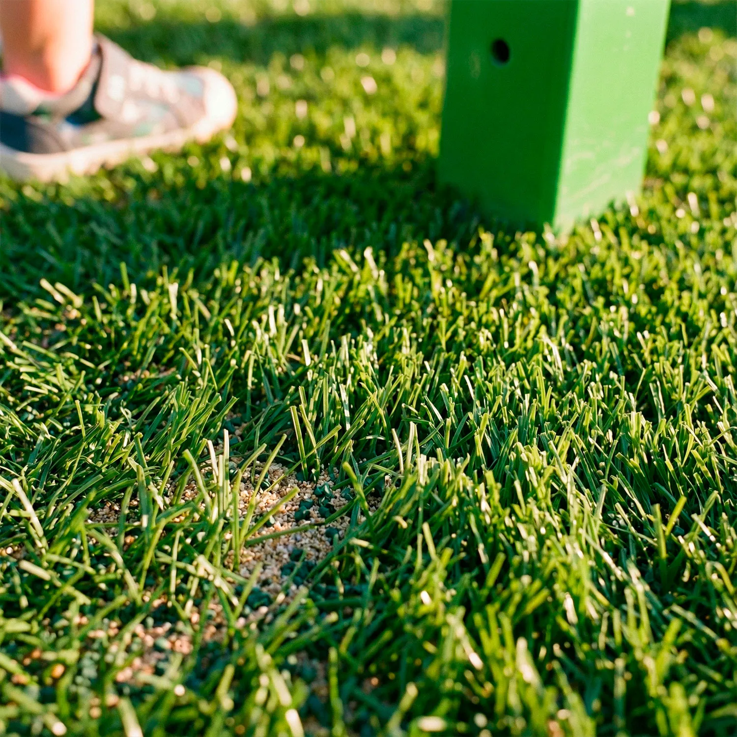 Pasto Sintético Recreativo