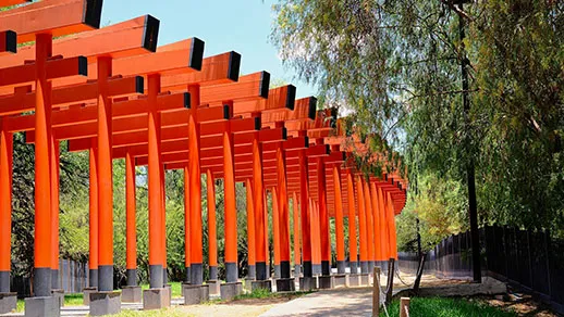 Tekno-Step San Luis Potosí