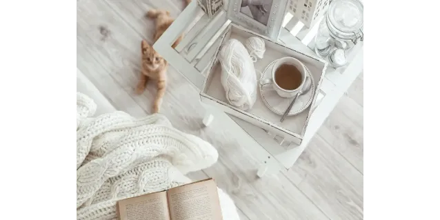 Comparte tu decoración con tu mascota