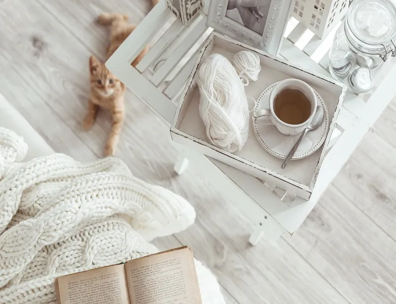 Comparte tu decoración con tu mascota
