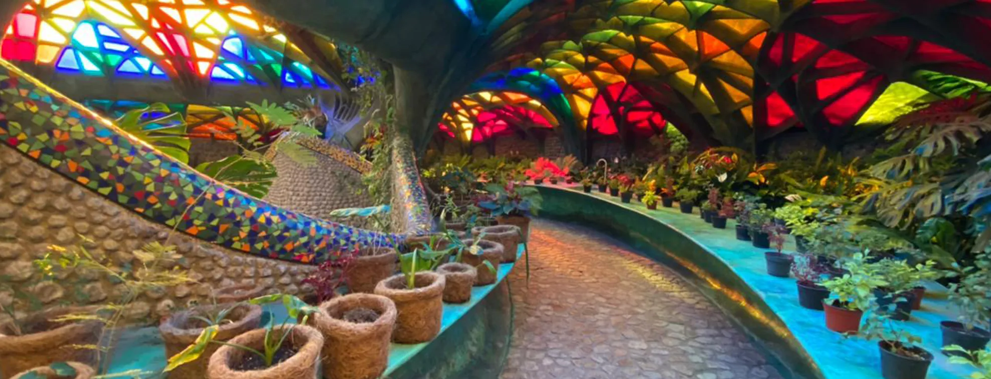 Nido de Quetzalcóatl: un enlace entre arquitectura y naturaleza