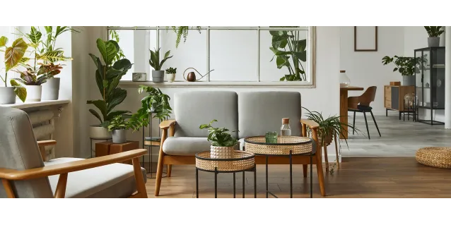 Guía para crear un espacio verde dentro de tu hogar
