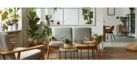 Guía para crear un espacio verde dentro de tu hogar