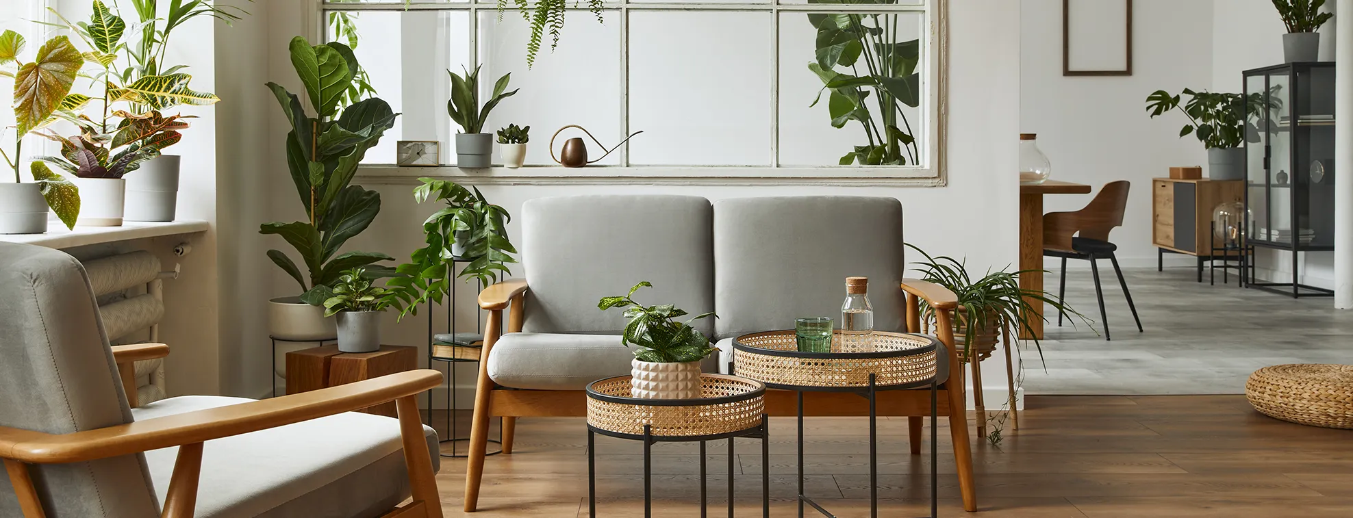 Guía para crear un espacio verde dentro de tu hogar