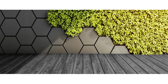 Aprende a combinar un piso negro con tu muro verde