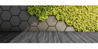 Aprende a combinar un piso negro con tu muro verde