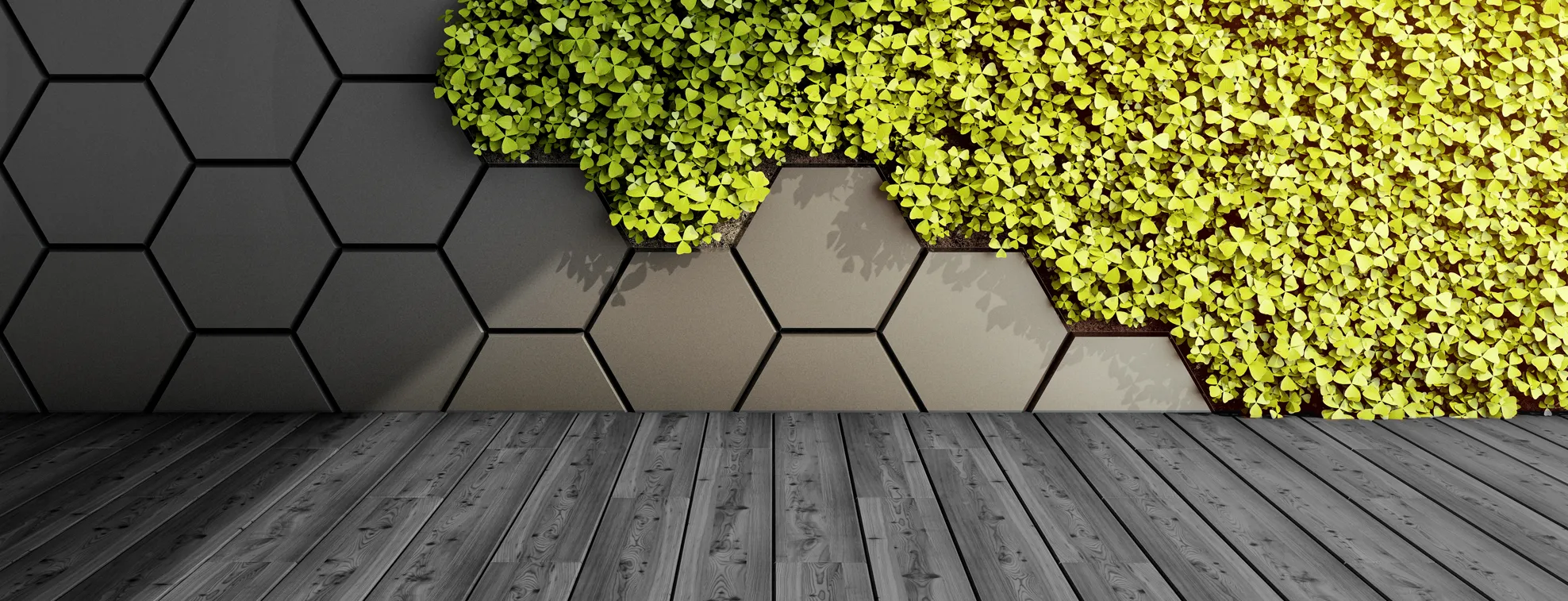 Aprende a combinar un piso negro con tu muro verde