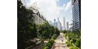 Arquitectura en sintonía con la naturaleza