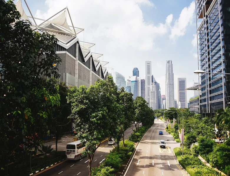 Arquitectura en sintonía con la naturaleza