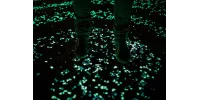 Concreto luminoso: De ingenio mexicano