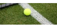 ¿Qué es el pasto deportivo?
