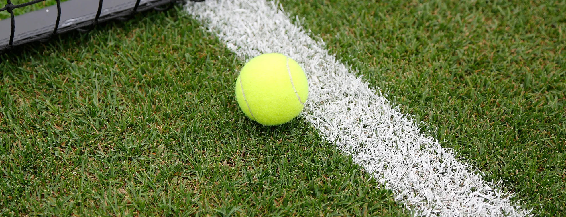 ¿Qué es el pasto deportivo?