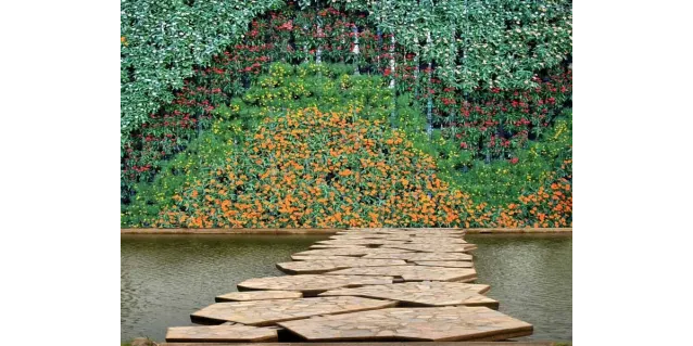 Ideas creativas para muros verdes