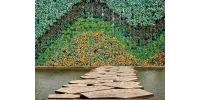 Ideas creativas para muros verdes