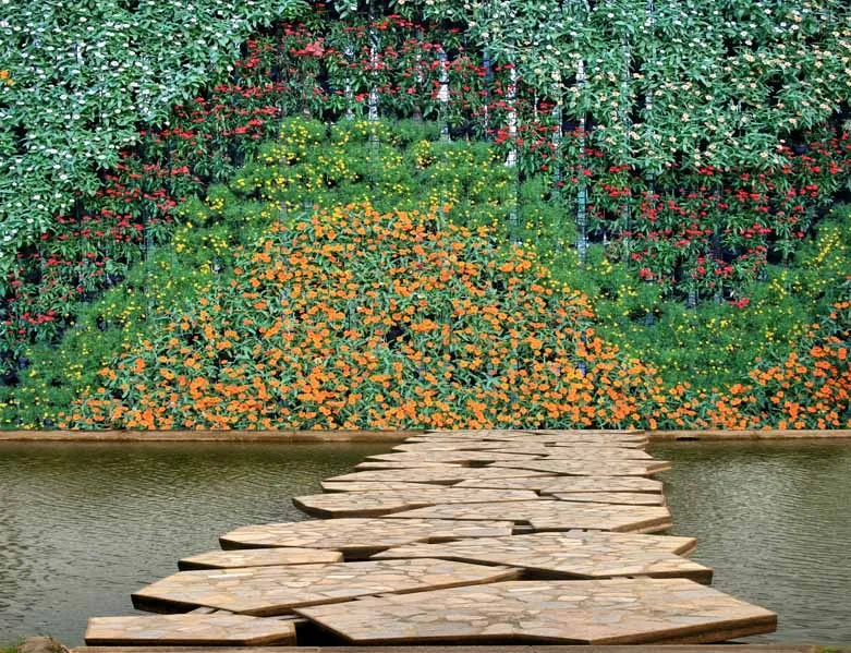 Ideas creativas para muros verdes