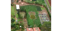 El laberinto más grande del mundo y unas cuantas piñas