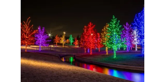 Biodiseño y Árboles con Luz