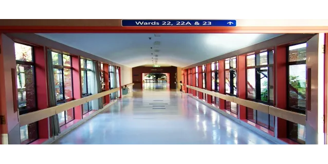 Todos necesitamos un piso de hospital en casa