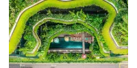 Hotel Parkroyal Singapur: Una nueva experiencia selvática