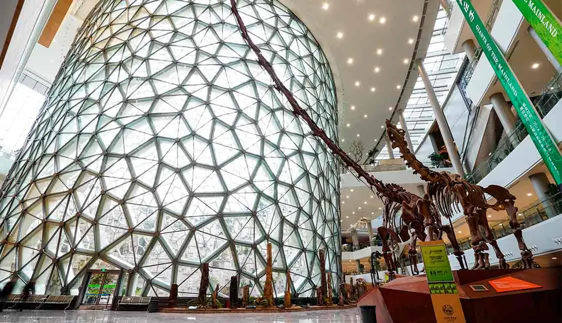 Museo de Historia Natural de Shanghái: Arquitectura bioclimática