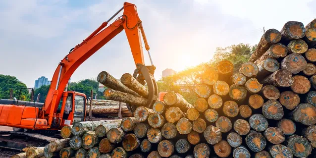 ¿Qué tipos de madera se utilizan para los pisos?