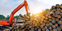 ¿Qué tipos de madera se utilizan para los pisos?