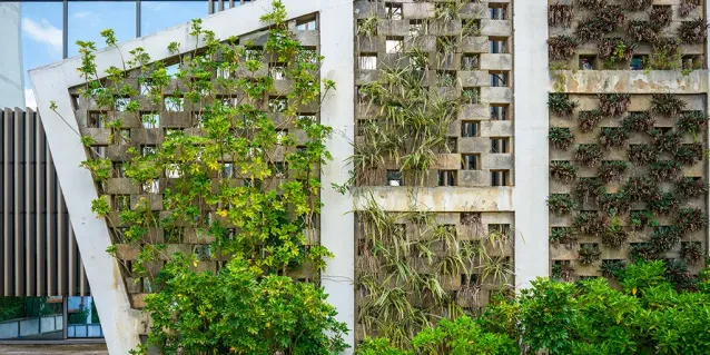 ¿Ventajas de los follajes sintéticos en comparación con las plantas naturales?
