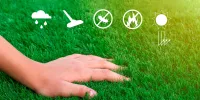 ¿Cuánto tiempo dura el pasto sintético?