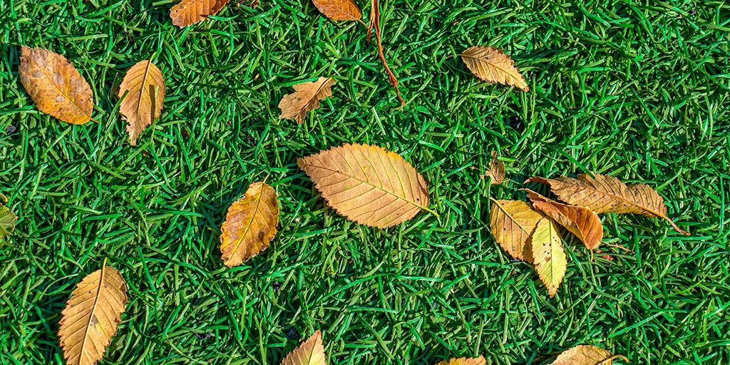 ¿Qué impacto ambiental tiene el pasto sintético?