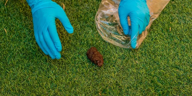 ¿Es el pasto sintético resistente a las manchas y a los desgastes?