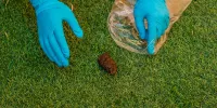 ¿Es el pasto sintético resistente a las manchas y a los desgastes?