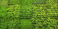 ¿Cómo se pueden añadir los follajes sintéticos a un diseño de jardín o paisaje?