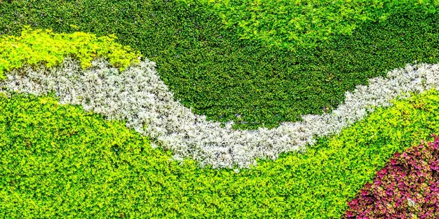¿Cuáles son las aplicaciones más innovadoras del follaje sintético en la actualidad?