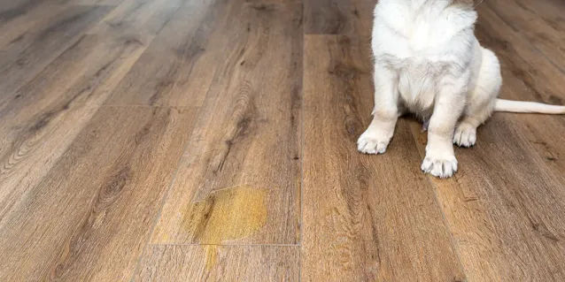 ¿Son resistentes a las manchas los pisos vinílicos?