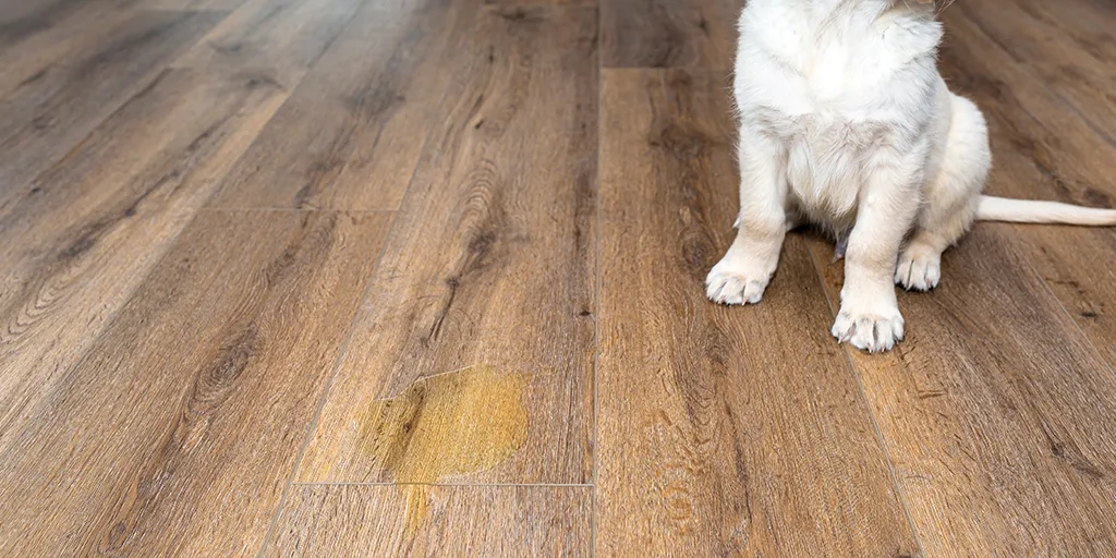 ¿Son resistentes a las manchas los pisos vinílicos?