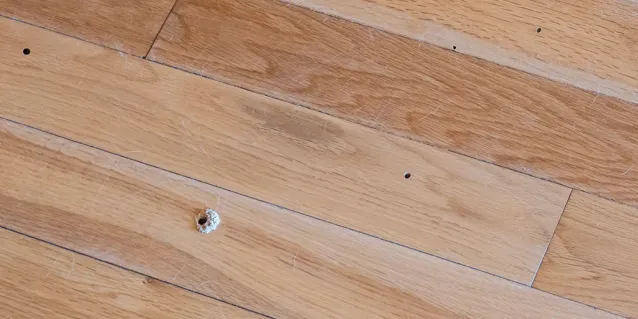 ¿Los decks sintéticos son resistentes a los insectos y la podredumbre?