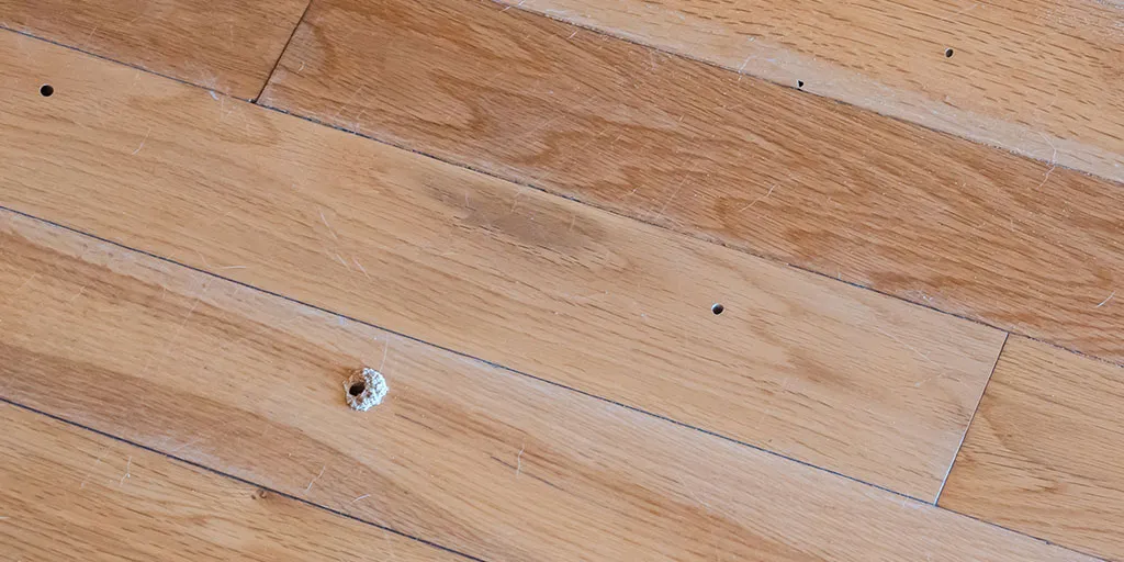 ¿Los decks sintéticos son resistentes a los insectos y la podredumbre?